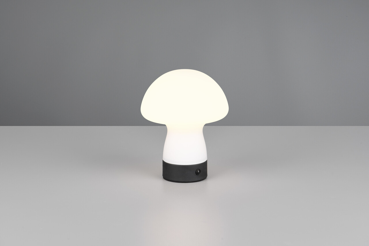 Lampa de masa Dooley, RL, 14x18 cm, 1.5W, 1x SMD, sticla, alb mat/negru - imagine 5